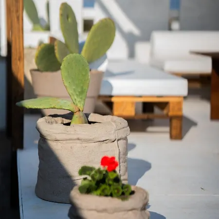 Anemone By Casavacanze Di Angelo Guest house Uggiano La Chiesa