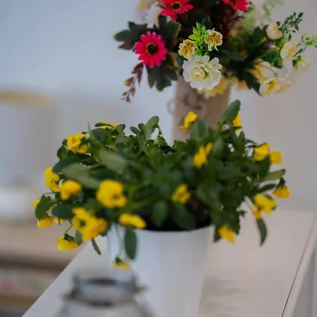 Guest house Anemone By Casavacanze Di Angelo