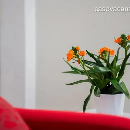 בית הארחה Anemone By Casavacanze Di Angelo אוג'אנו לה קייזה